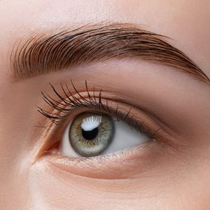 Brow Lamination course - Academy Face Ltd, Lowestoft, Suffolk